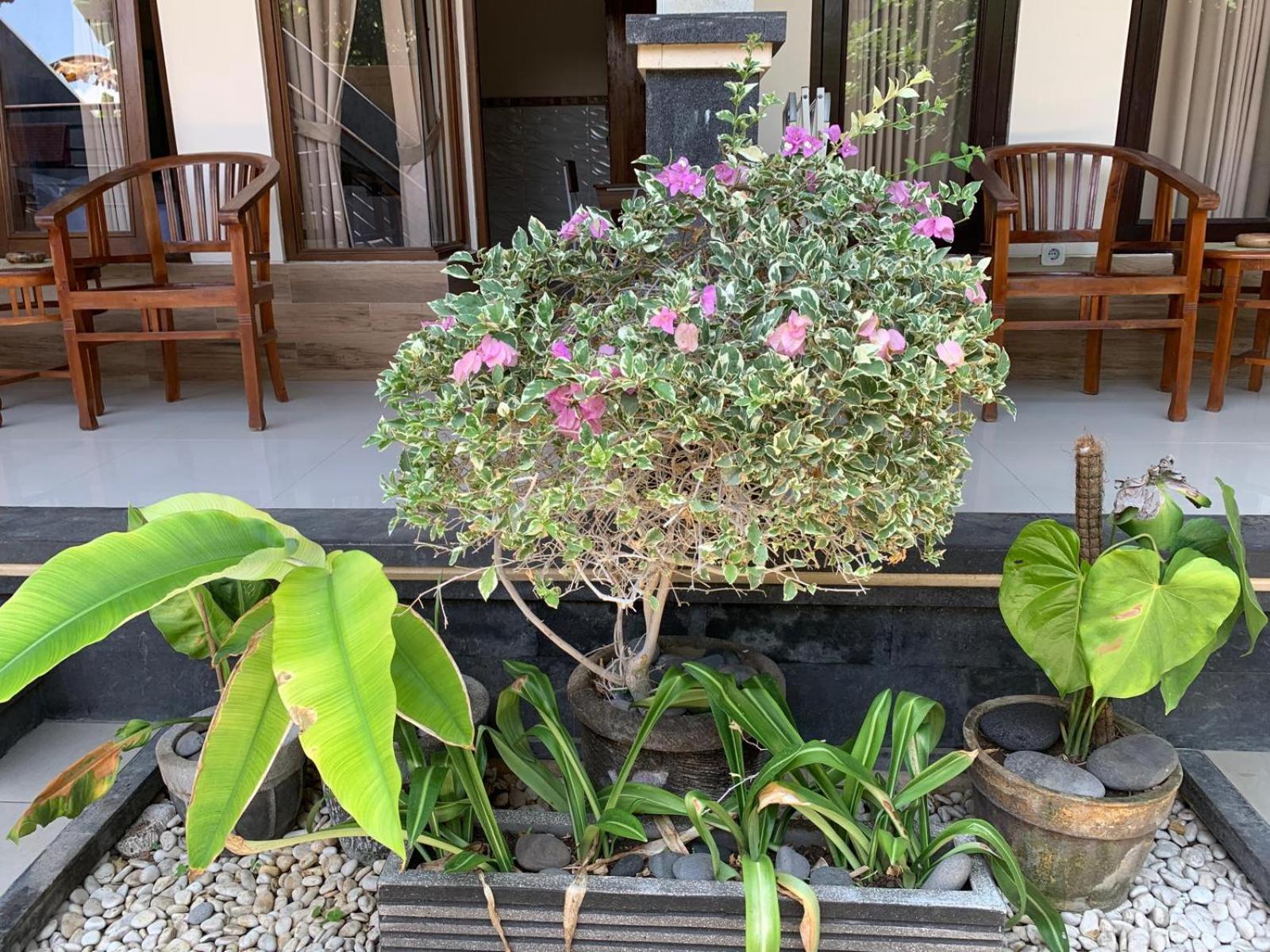 Jepun Inn Padangbai  Exterior photo