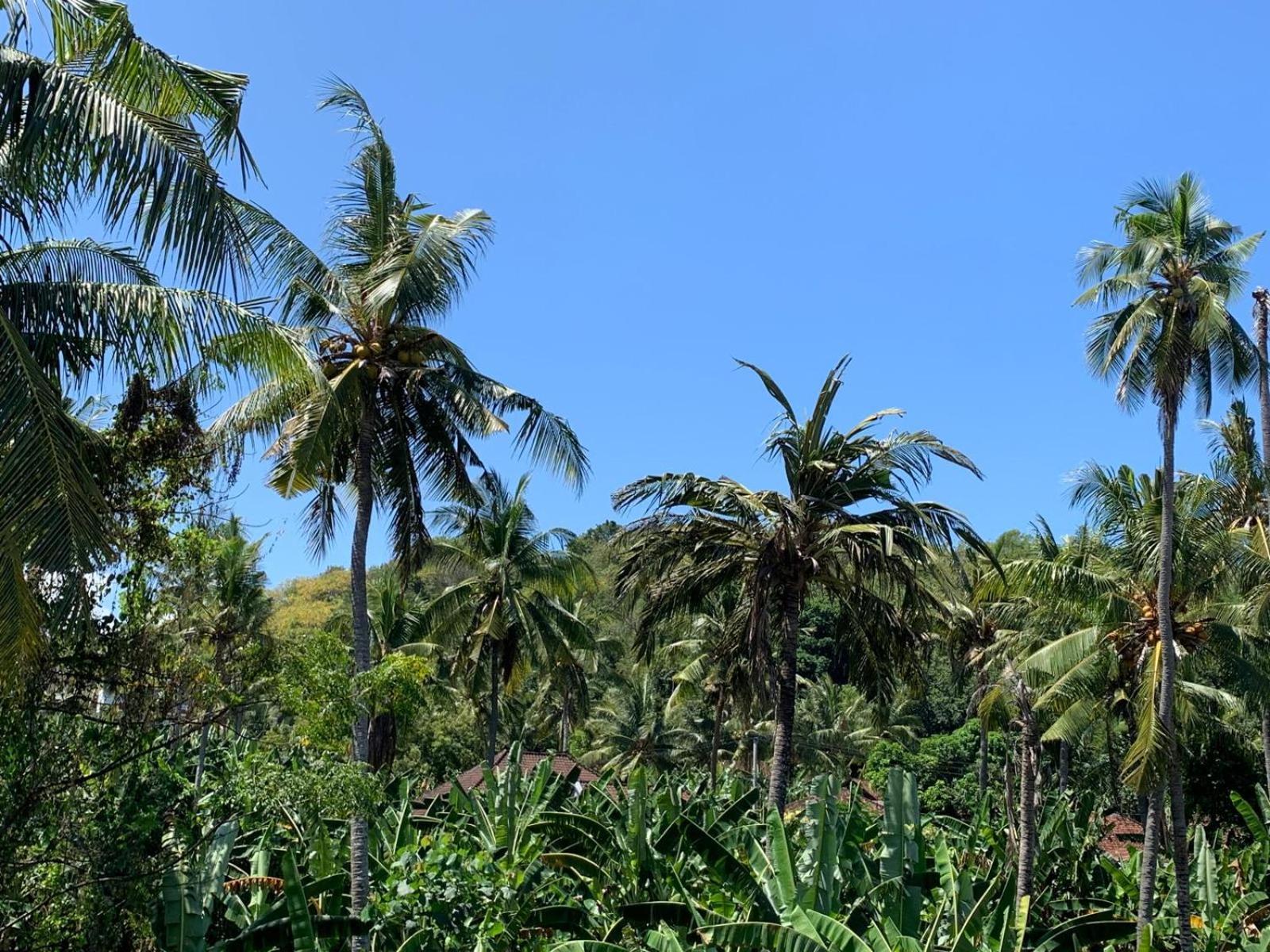 Jepun Inn Padangbai  Exterior photo